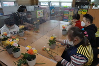장애인주간보호시설 원예 활동 '봄 꽃' 