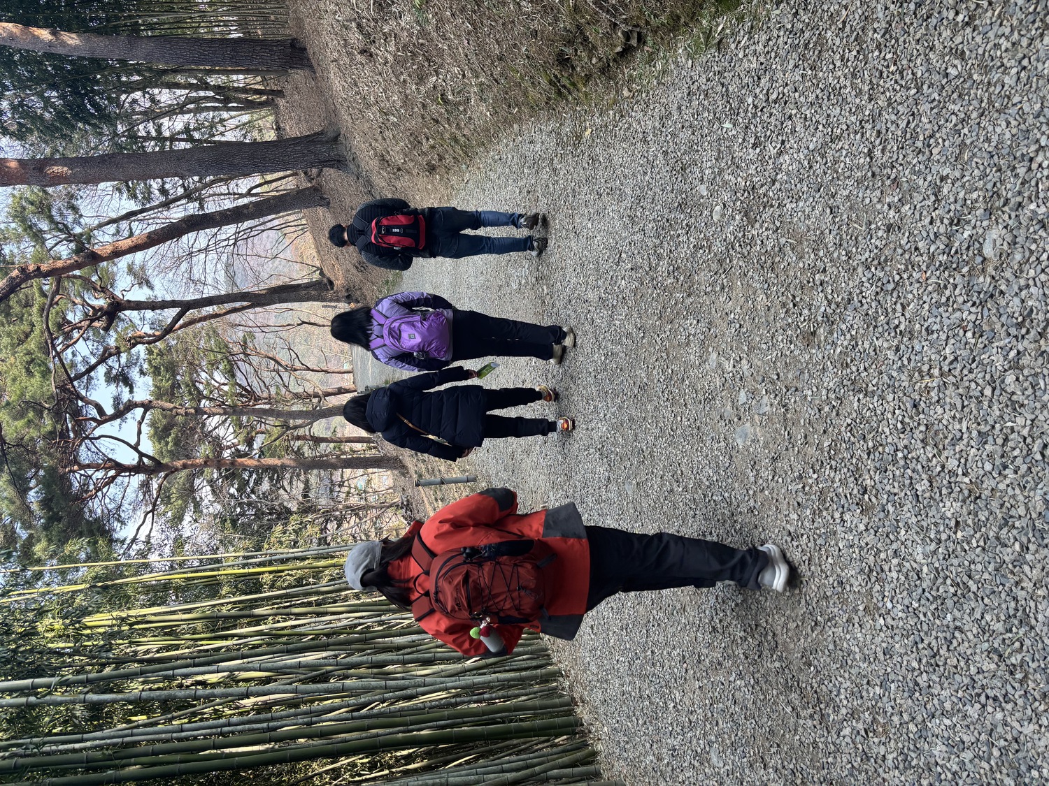 건강증진 프로젝트 